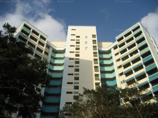 Blk 257 Serangoon Central Drive (Serangoon), HDB 5 Rooms #284972